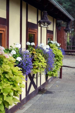 Gościniec Marzymięta Czmoń